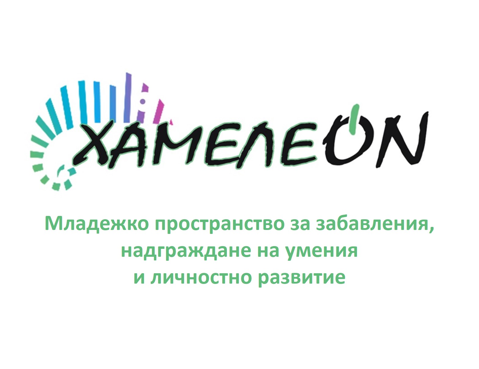 logo HameleON